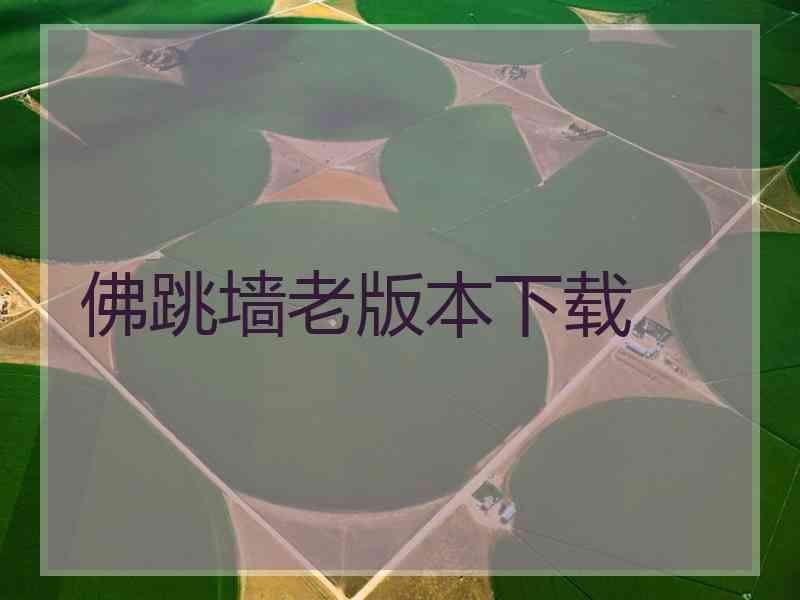 佛跳墙老版本下载