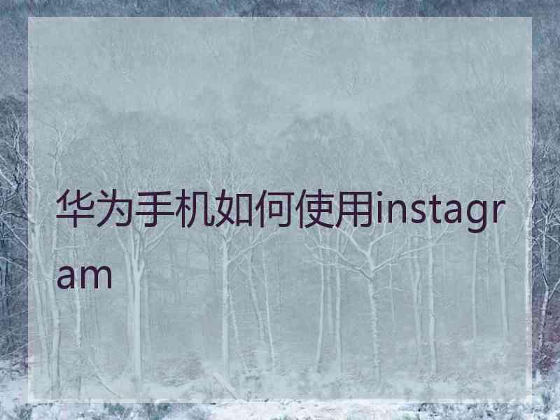 华为手机如何使用instagram